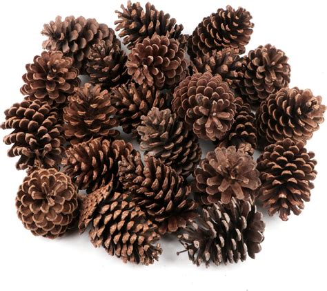 Home Depot Scented Pine Cones at Alesia Lehr blog