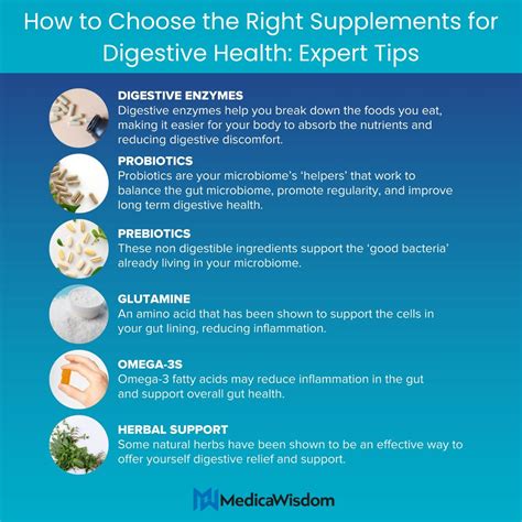 Best Supplement For Digestive Health: Your Expert Guide To A Happier Gut And More Energy