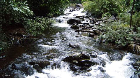Pa-La-U Waterfall Tour, Thailand - Klook India