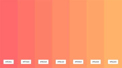 What Color is Salmon? Meaning, Code & Combinations