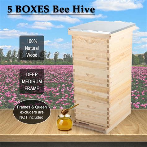 Langstroth Hive FrameBee Hive FrameBeehive Frames w India | Ubuy