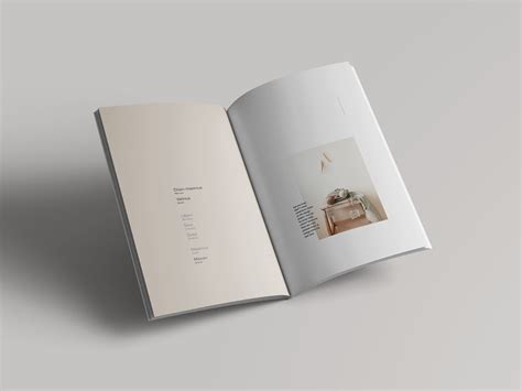 时尚高端简约杂志品牌手册画册设计楼书书籍装帧VI样机展示模型mockups designshidai_yj903 - 知乎
