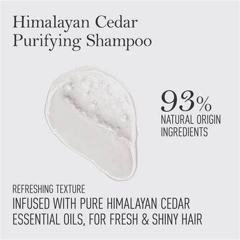 Buy Himalayan Cedar Purifying Shampoo | Kama Ayurveda