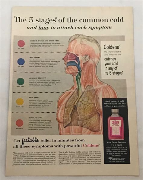 Common Cold Medication 的图像结果
