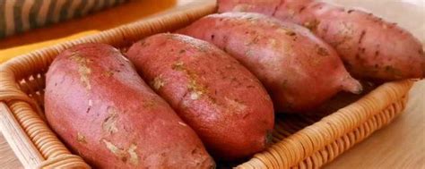 番薯(红薯)的功效与作用及食用禁忌 番薯的营养价值成分表 - 8794网