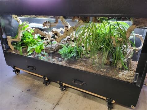 Image result for Large Python Cage