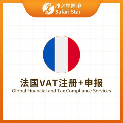 法国vat税号申请资料是什么？法国VAT注册必备材料及步骤详解 - 出海club