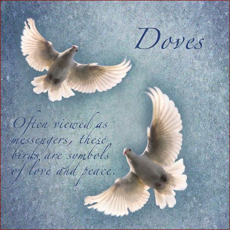Meaning White Dove