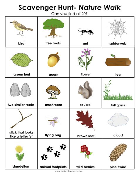 Printable Nature Scavenger Hunt