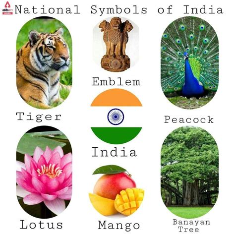 National Symbols of India: Tigers, Peacocks, Lotuses, and Mango Trees