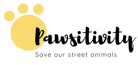 Pawsitivity | QR Reflective Collars for Stray Animal Safety