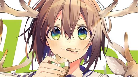 Where To Read 'My Deer Friend Nokotan' Manga, Confirmed