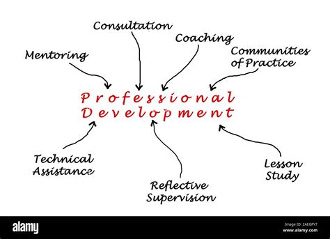 Professional Development Algorithm 的图像结果