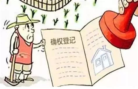 2019年江苏农村土地确权政策最新,农村土地承包经营权确权登记