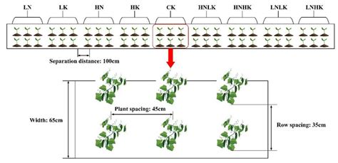 Simple Experiment Design 的图像结果