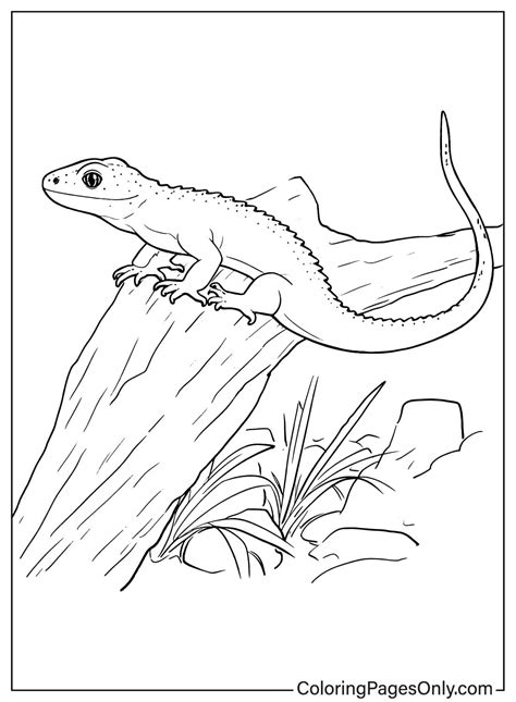 Frozen Lizard Coloring Pages