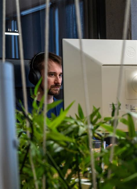 Funktionale Anforderungen 的图像结果