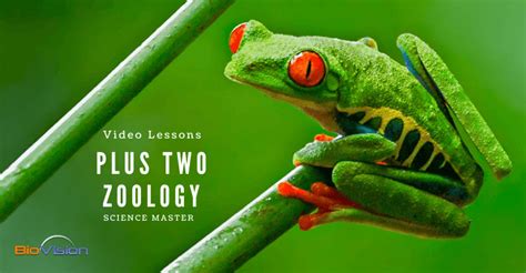 PLUS TWO ZOOLOGY VIDEO LESSONS - ALL UNITS
