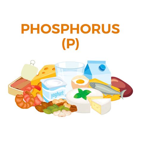 The Essential Role of Phosphorus in Bone Health Revealed – HealthyHey