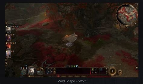 How to Level the Best Druid Build in BG3? - Yaninagames