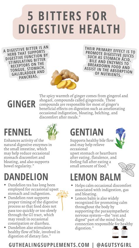 Bitter Herbs for Digestion - A Gutsy Girl®