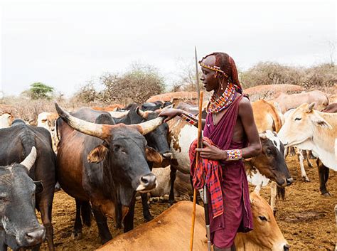 Discover the Enchanting Tribes of West Africa: A Journey Through History and Culture