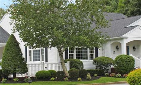 Chapman Funerals & Cremations - Wareham Obituaries & Services In ...