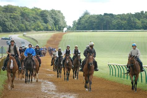 Eclipse Veterinary Software