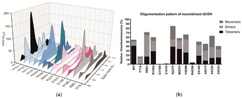 Glutaryl-CoA Dehydrogenase Misfolding in Glutaric Acidemia Type 1