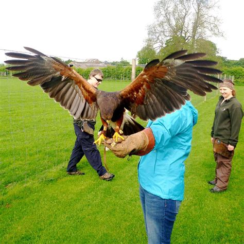 RAPTOR WORLD (2025) All You Need to Know BEFORE You Go (with Photos ...