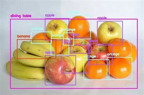 Image result for Cell Image Object Detection Python Code