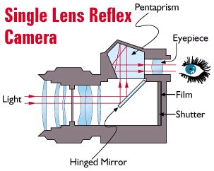 History of the Single-Lens Reflex Camera 的图像结果