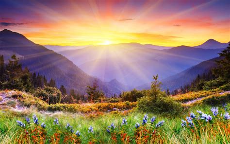 landscape 4k