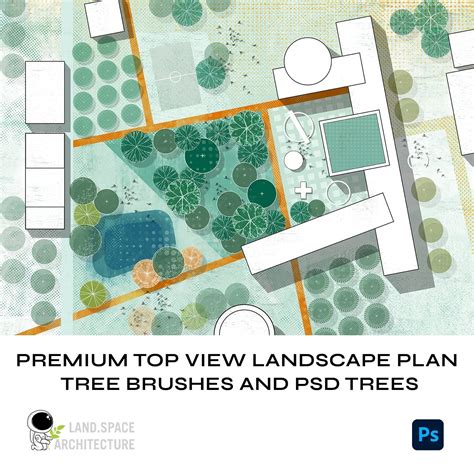 Premium Top View Landscape Plan Tree Brushes and PSD Trees – LandSpace ...