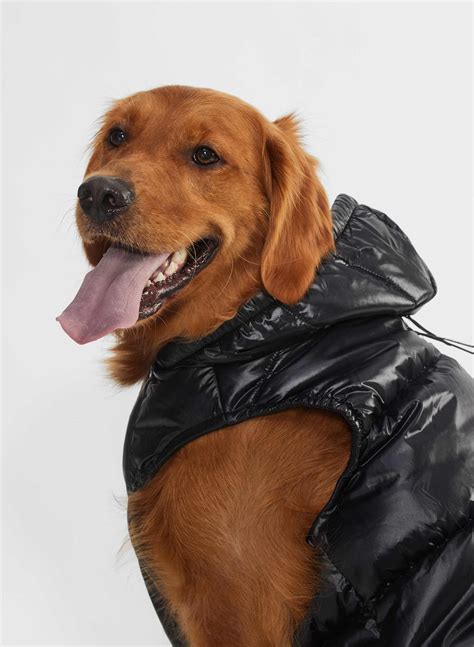 The Super Puff™ THE SUPER RUFF PUFF™ | Aritzia INTL