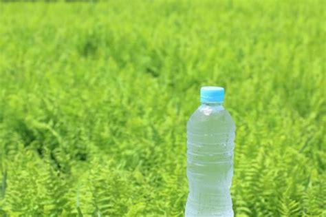 Image result for Practicle Example