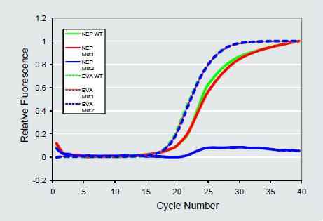 Life Technologies India -- Life Tech India