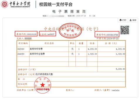 51发票平台查询网站