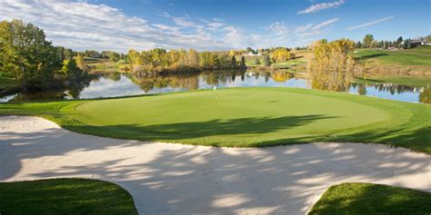 Golf 的图像结果