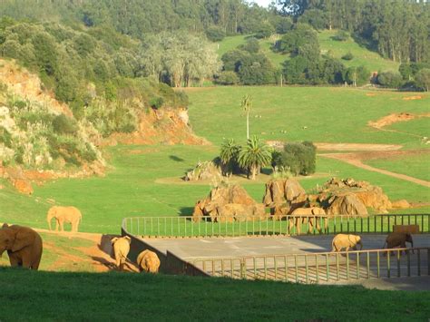 THE BEST Places to Visit in Cabarceno (2026) - Must-See Attractions