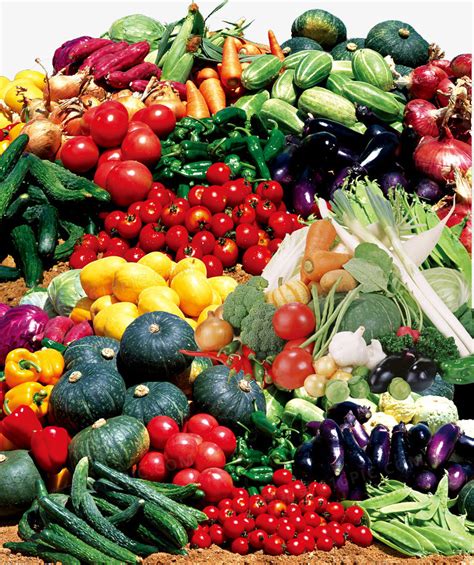 蔬菜食物矢量图 精品蔬菜蔬果图片免费下载_PNG素材_编号vwxipe0l8_图精灵