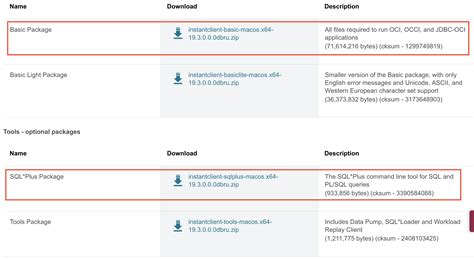 Image result for Oracle SQL Plus Install