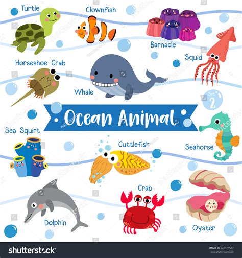 Seashore Animals Name