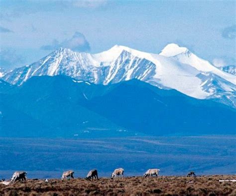 Companies Plan $2.6B Investment in Major Alaska Oil Project | Newsmax.com