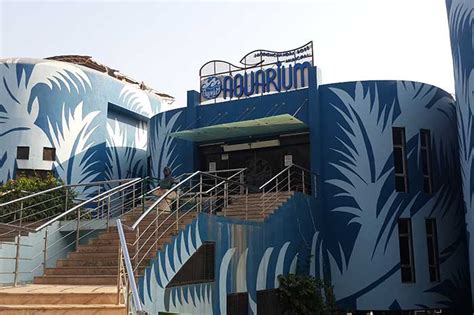 Aquarium Image Gallery