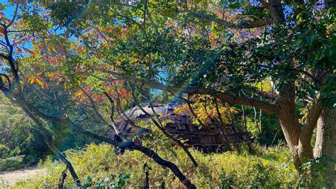 Plimoth Patuxet Museums | Home