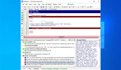 HTML Validator 的图像结果