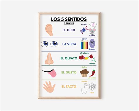 Spanish Language, FIVE SENSES POSTER, Educational Posters, Hearing ...