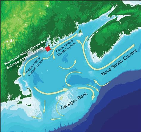 Field Research Station — Hurricane Island Center for Science and Leadership