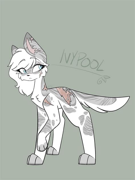 Image result for Copycat Ivypool Map